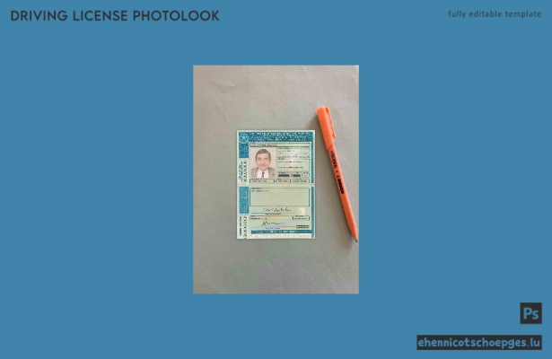 Brasilien DL Detran-Pe Pernambuco Fotolook-Beispielvorschau